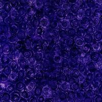 ttTONGA-B8919 VIOLET